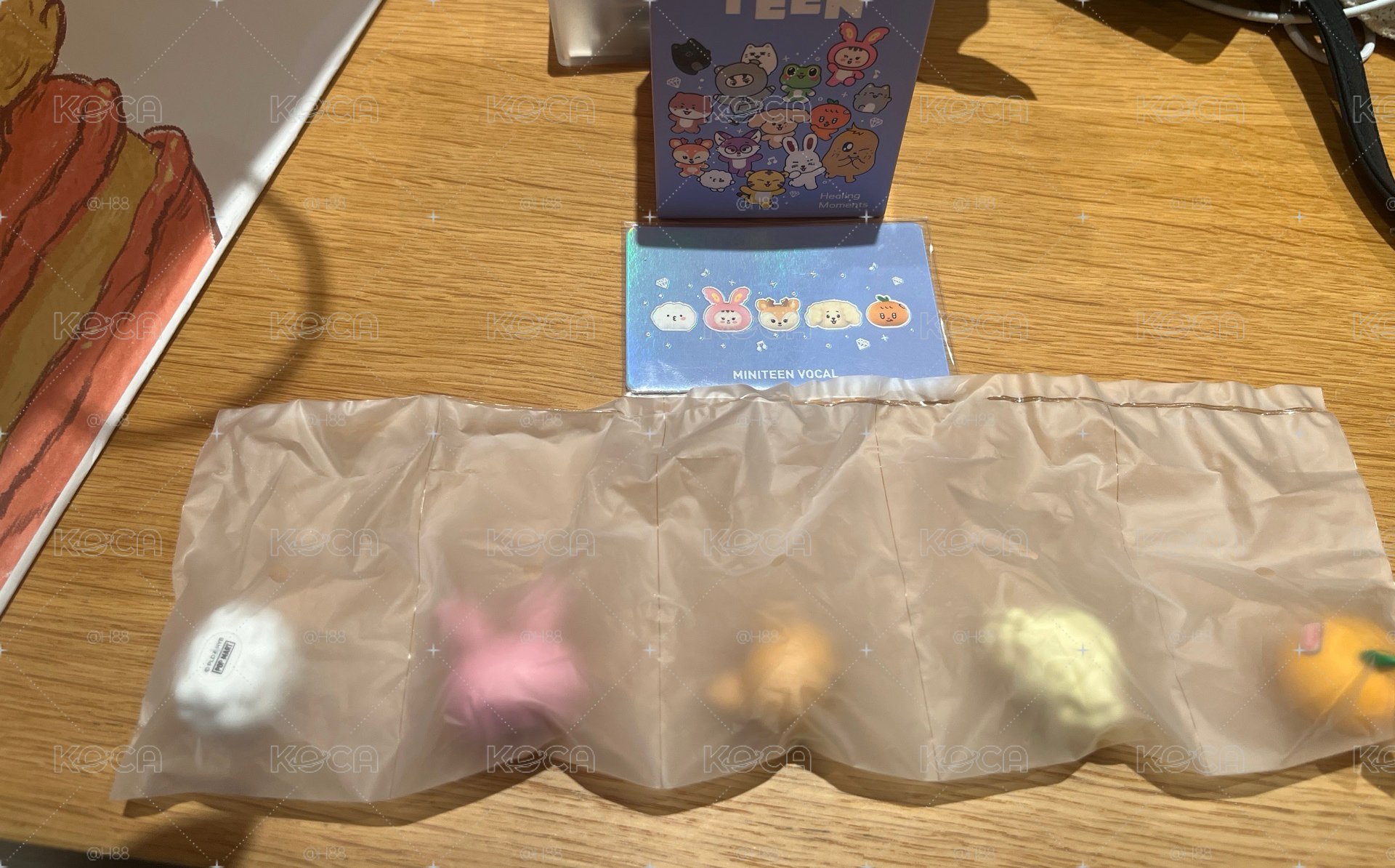 泡泡瑪特 主唱隊隱藏