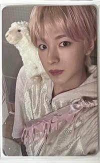 otl smini