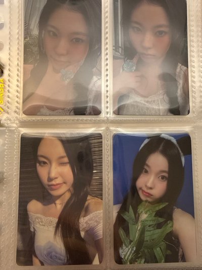 圭盤