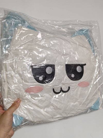 賢抱枕 在台現貨當天寄出