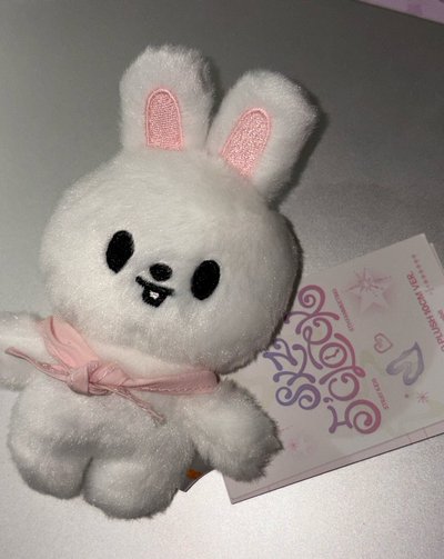五期飯咪胖白兔