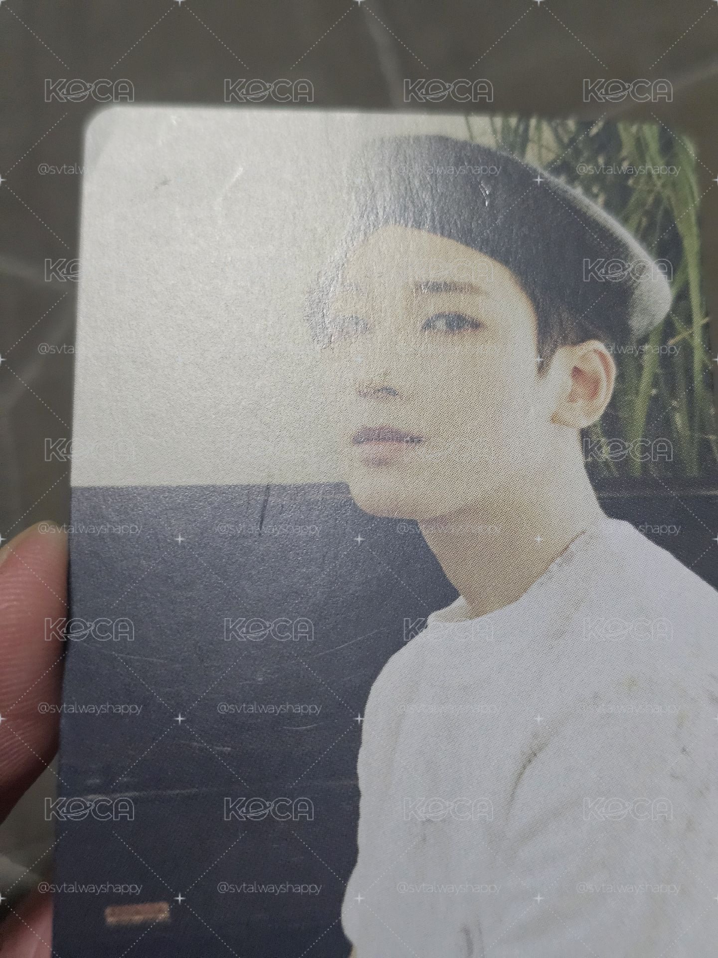 迷8 hmv 特典卡 圓佑