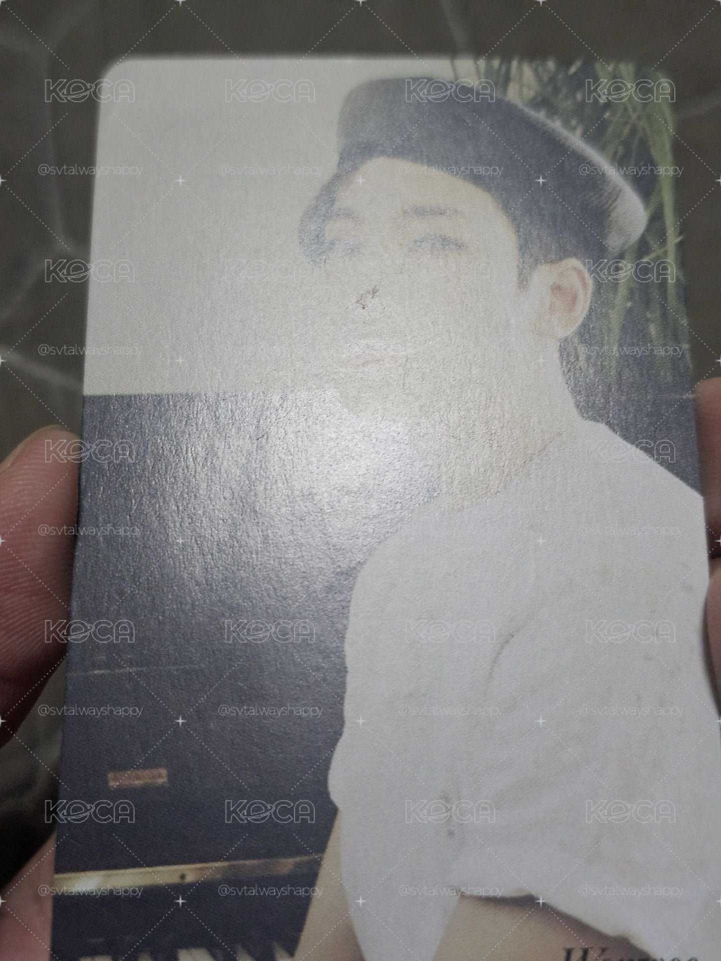 迷8 hmv 特典卡 圓佑