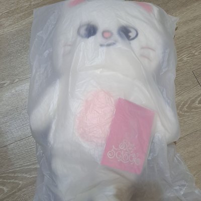 泰迪辰