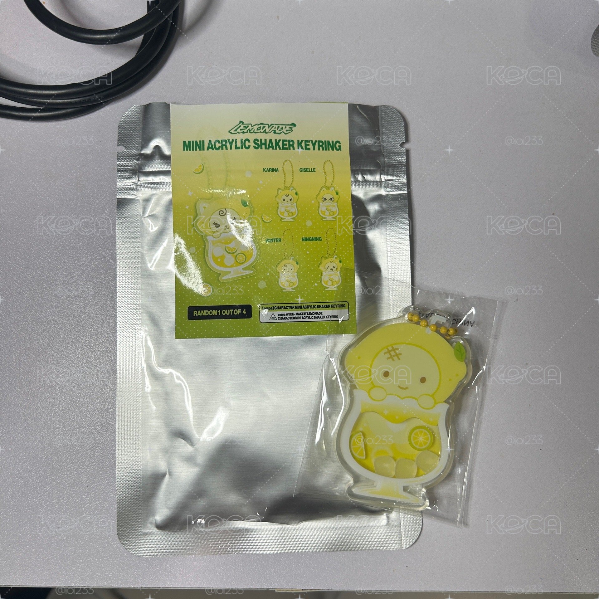 冬搖搖吊飾+滿額寧