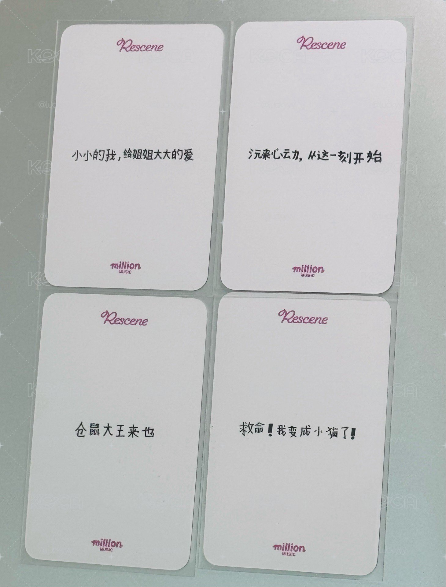 mm簽售中背 一套 可拆出