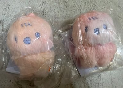 現貨✅［開立電子發票🧾］彩皮娃 bbyongMING