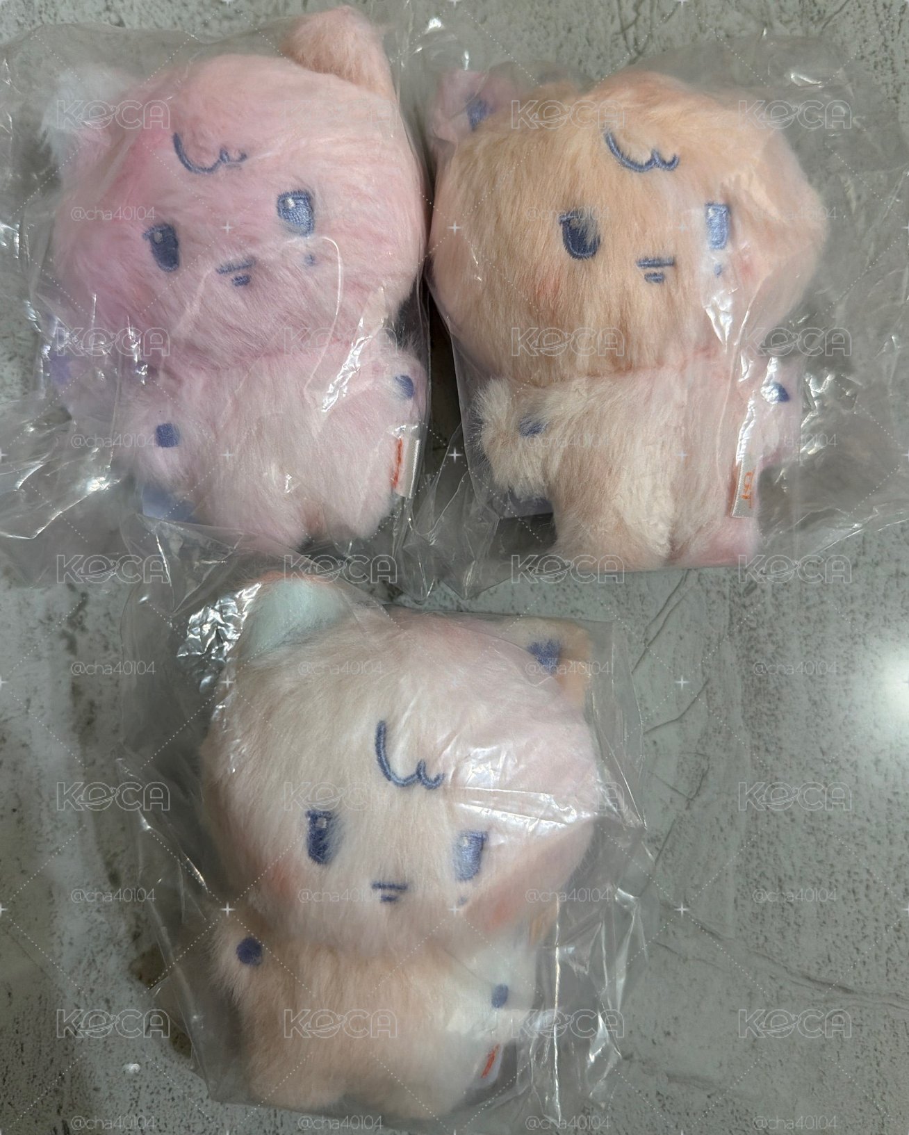 現貨✅［開立電子發票🧾］彩皮娃 WOOYOnyang