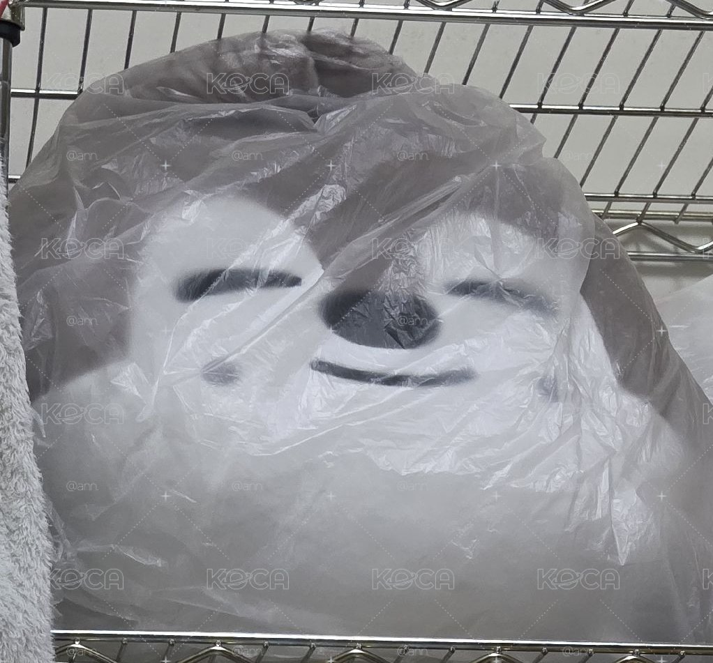 燦抱枕
