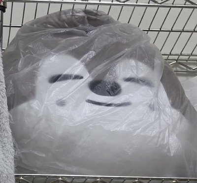 燦狼抱枕