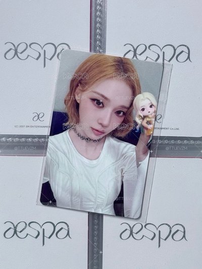 WINTER 泡泡瑪特公仔隱藏卡