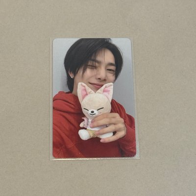 ⋆˚ STRAYKIDS ˖° —— 動物方城市滿額卡