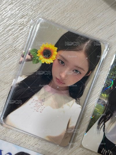 花花怜