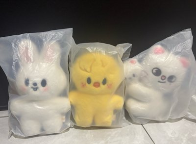 SKZOO✨磁吸站姿/抱娃