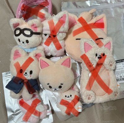 SKZ I.N 娃盤（更新物品）