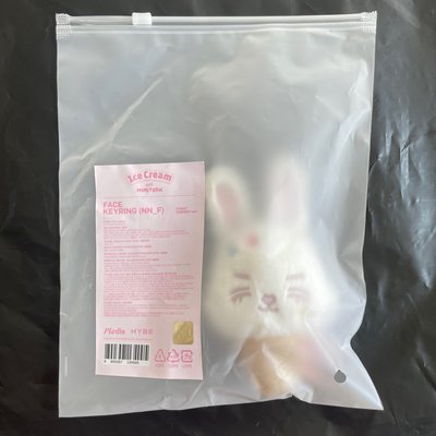 現貨 全新未拆 夏日MINITEEN 冰淇淋喆
