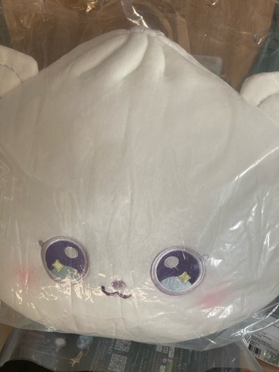 嫄單抱枕 未拆