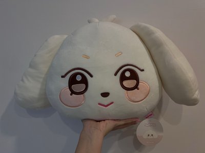 呂尚 嘿萌抱枕 ANITEEZ 不含卡