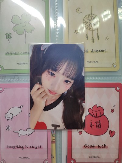 萌萌的怜🤍