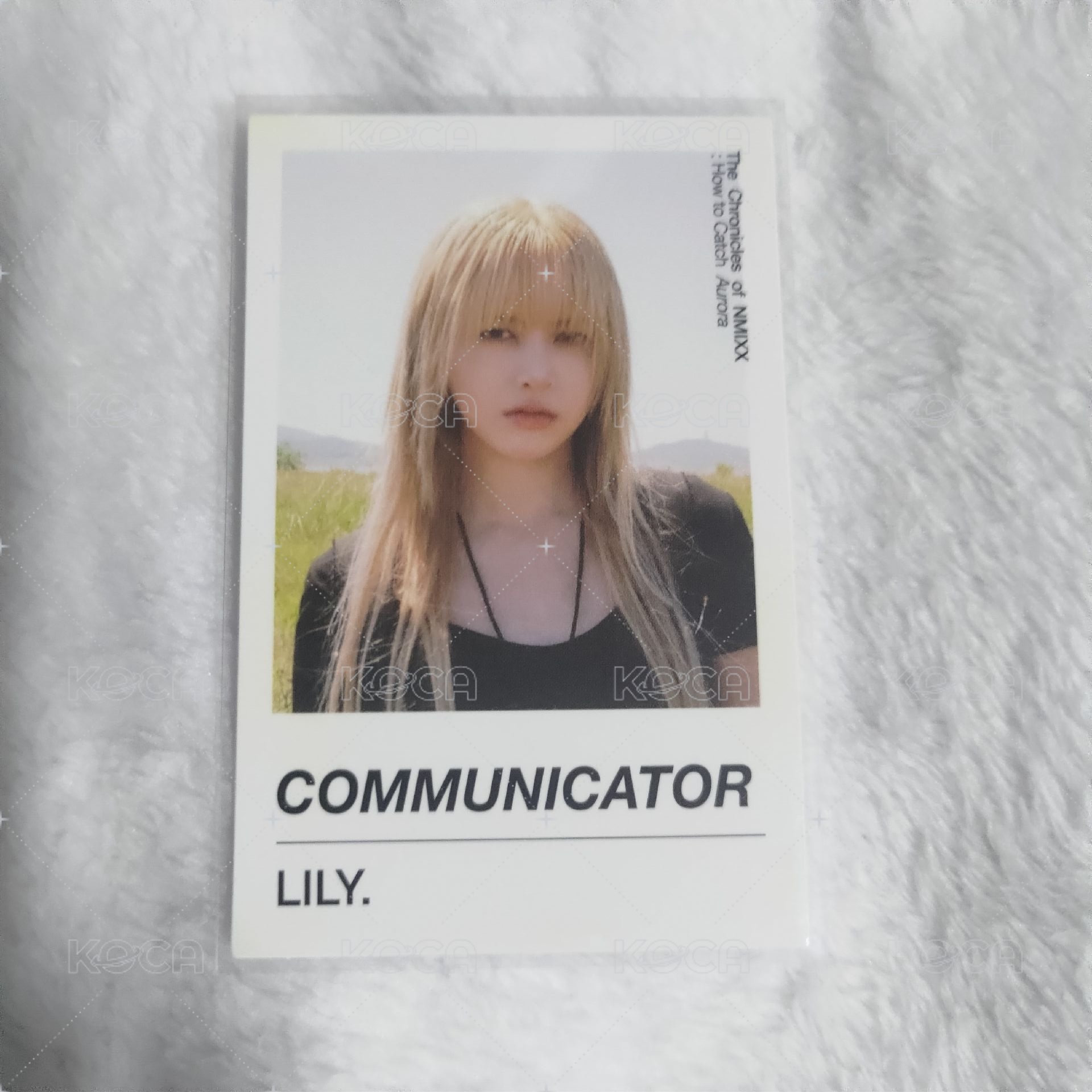 LILY.15
