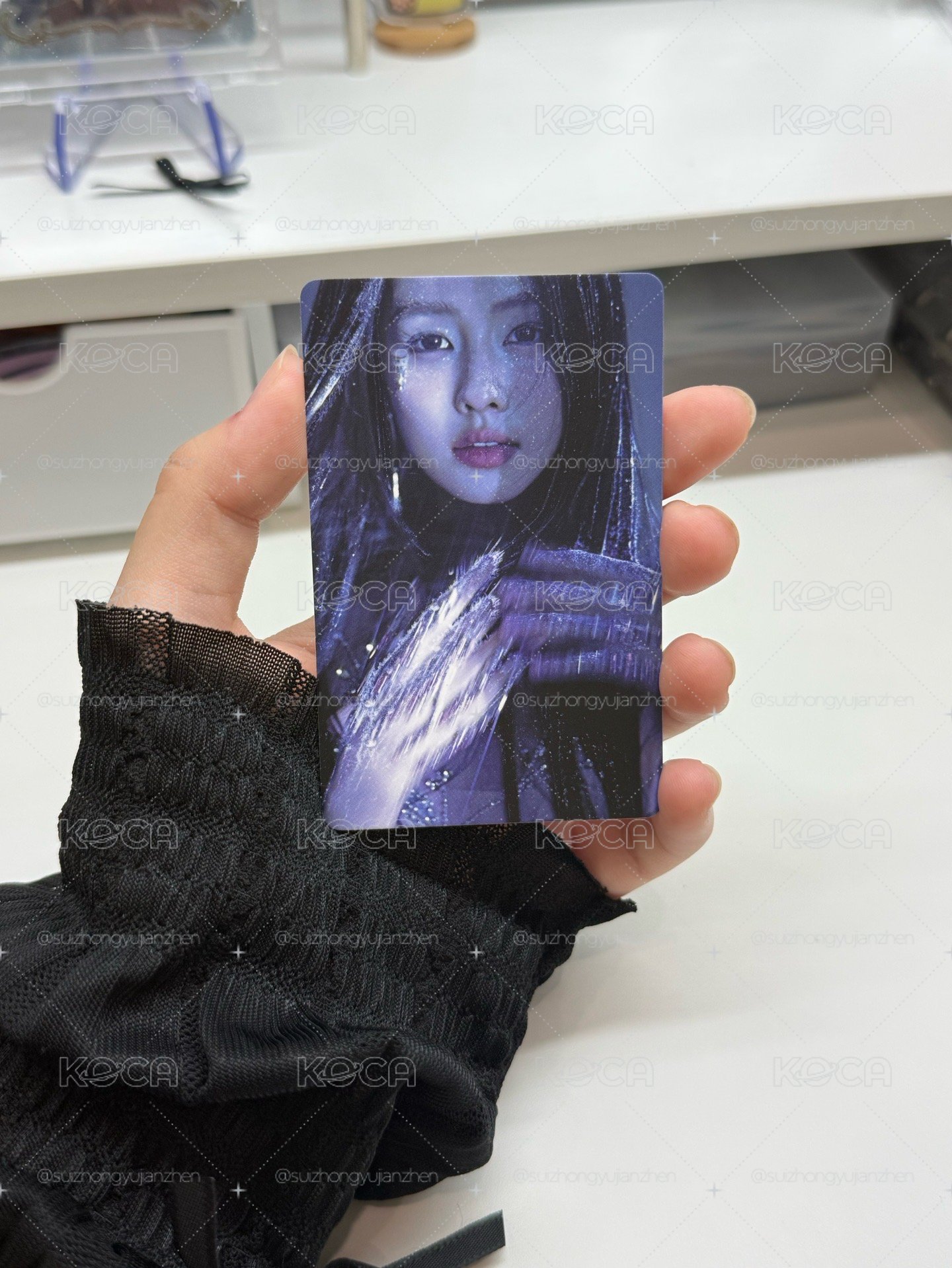 白鹿安慕希、費加羅小卡