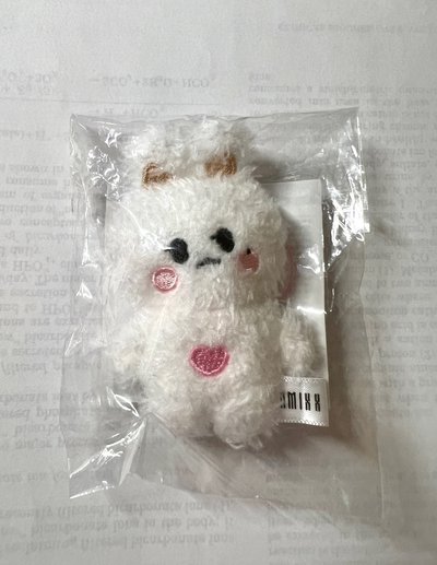 薛小娃