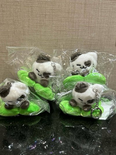 新加坡快閃 現貨