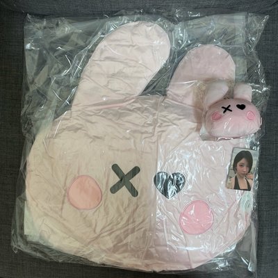 (現貨速出)BM 角 抱枕+吊娃+滿額卡 1組