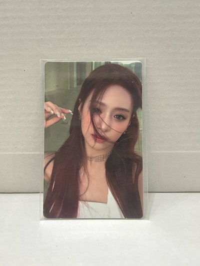 一週年wvs賢