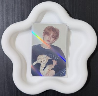 迷七 抱貓竣🦊🐱