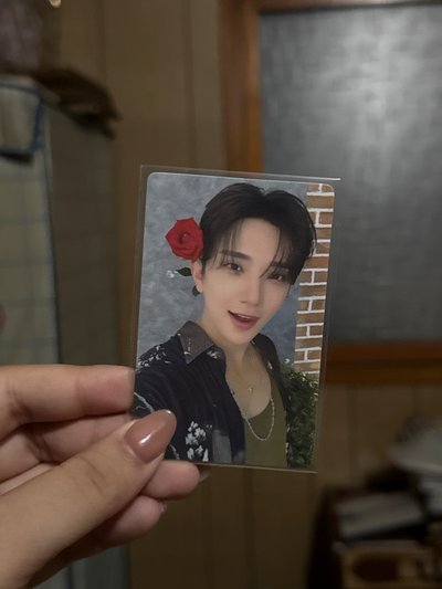 迷你12 KIT專 玫瑰秀🌹
