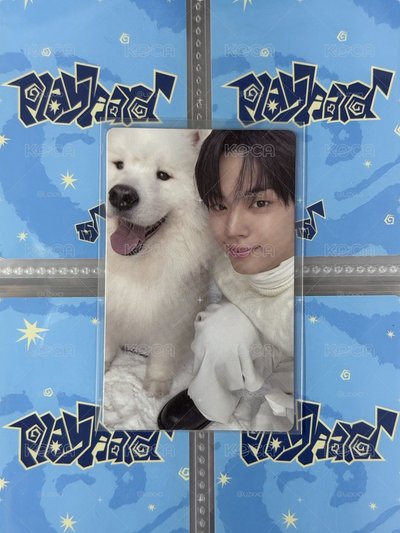 道勳 WVS幸運卡