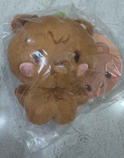 現貨✅［開立電子發票🧾］寶寶娃 JJONGbear
