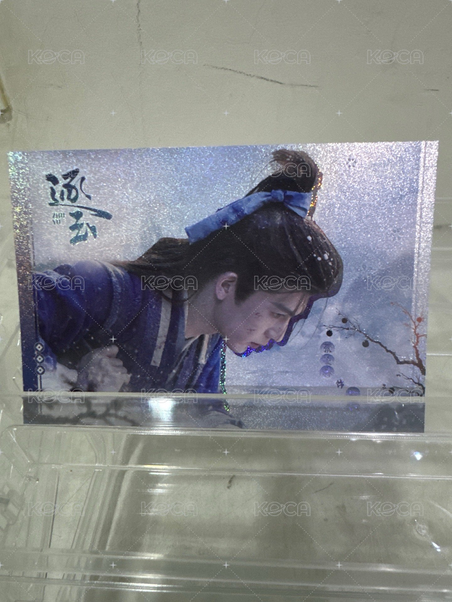 張凌赫 謝征03