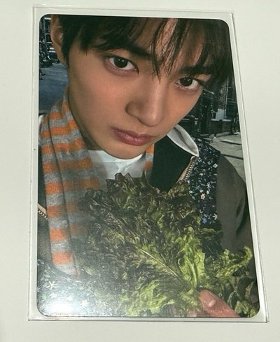 🥬安