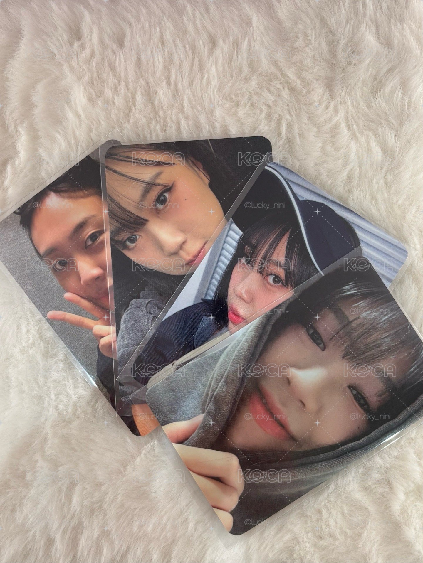 李泳知迷一專 $450