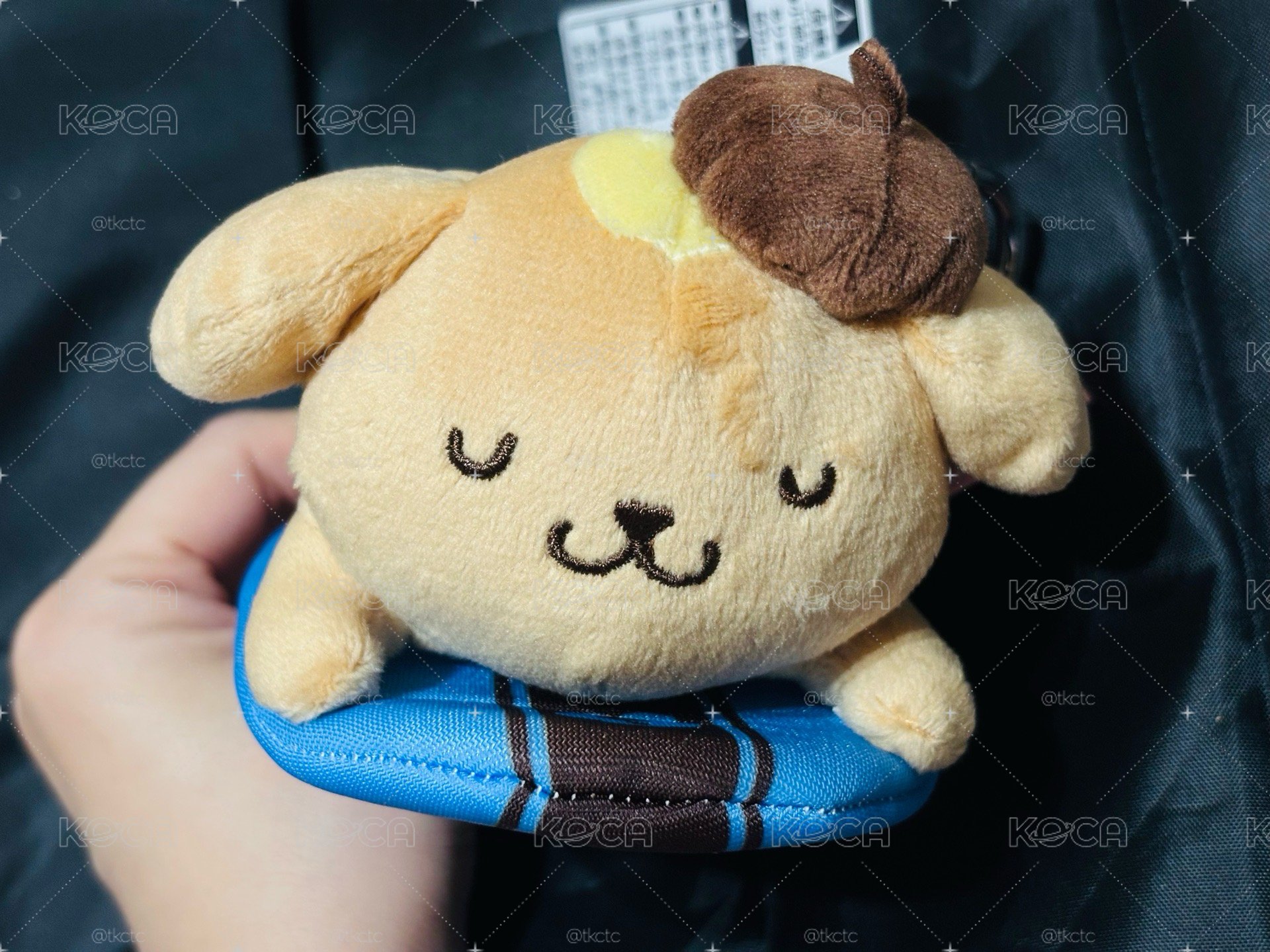 布丁狗 衝浪 Sanrio House 曬黑布丁狗