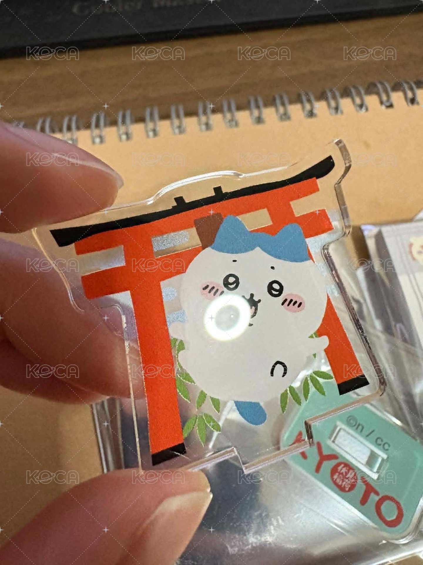 小八貓