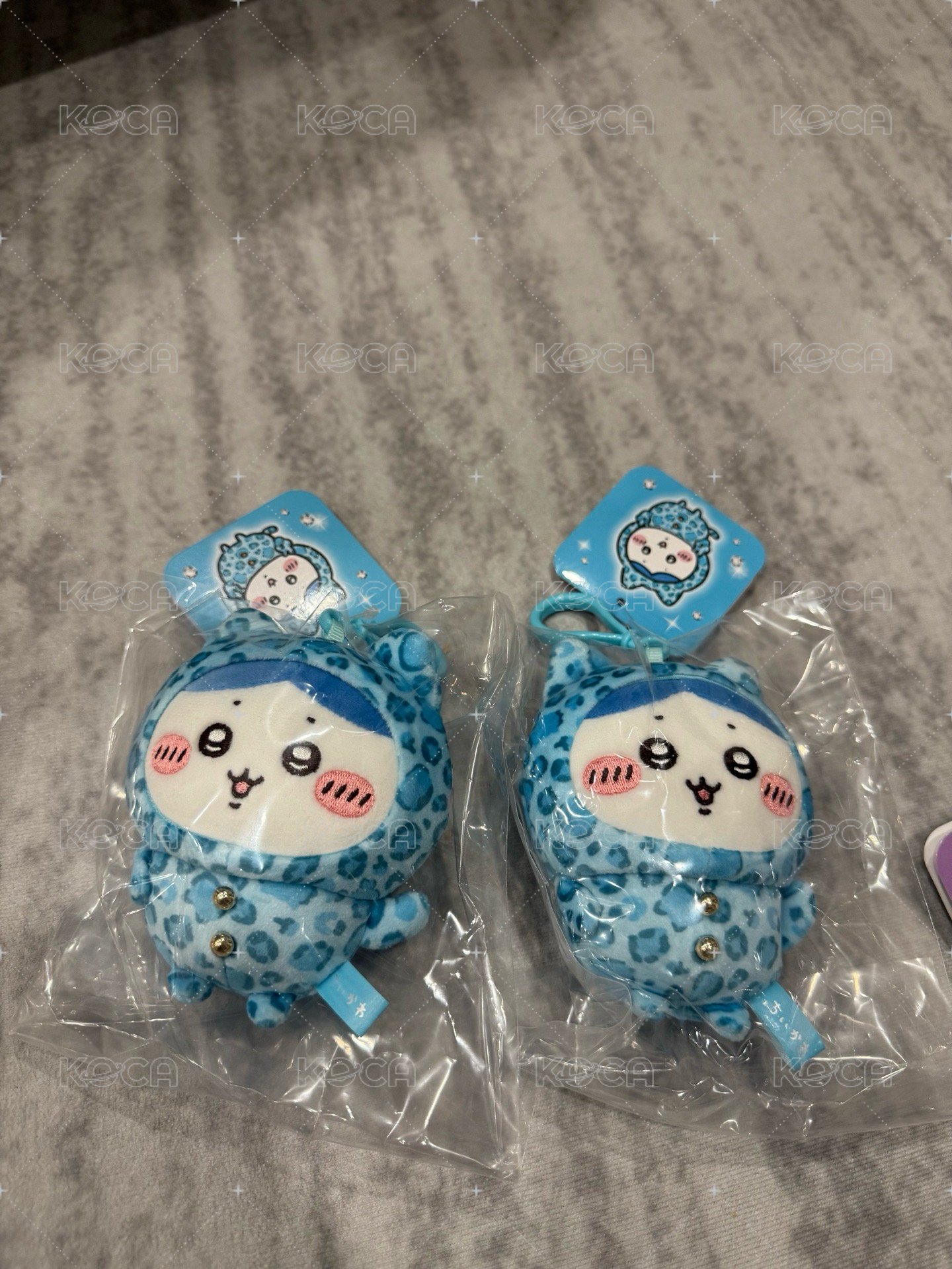 小八（右邊）