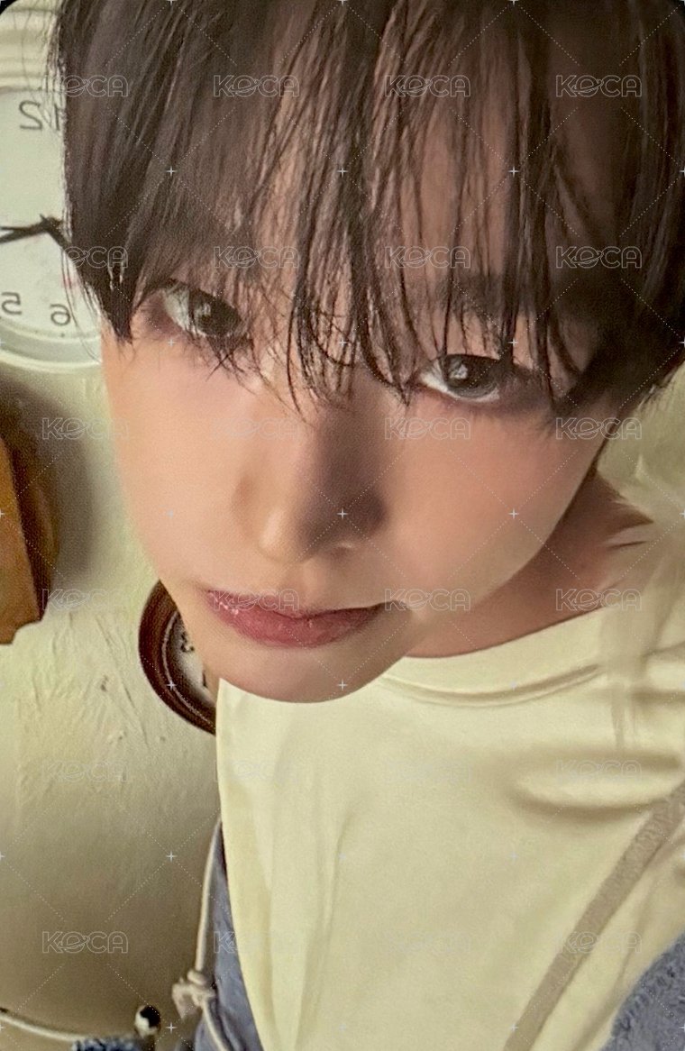 陸