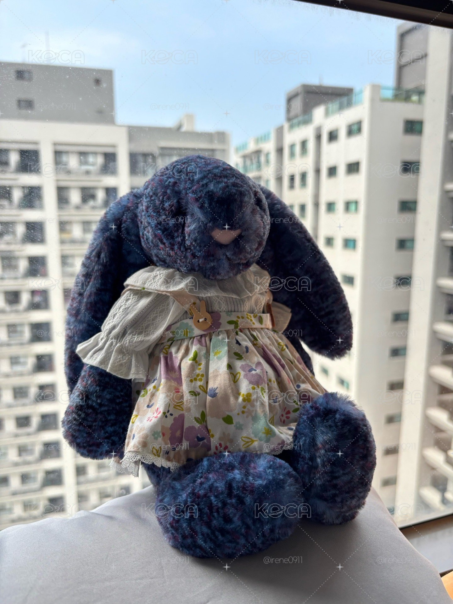 馬爾他藍兔兔