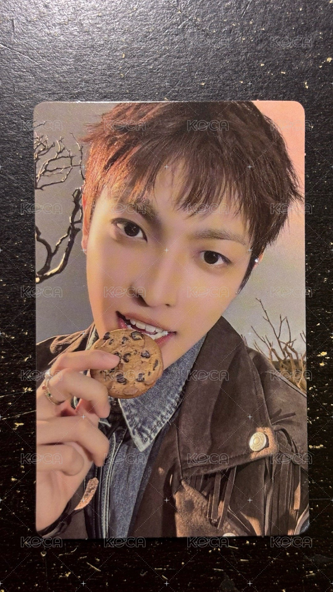 中中吃餅乾🍪