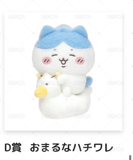 D賞 20cm 小八