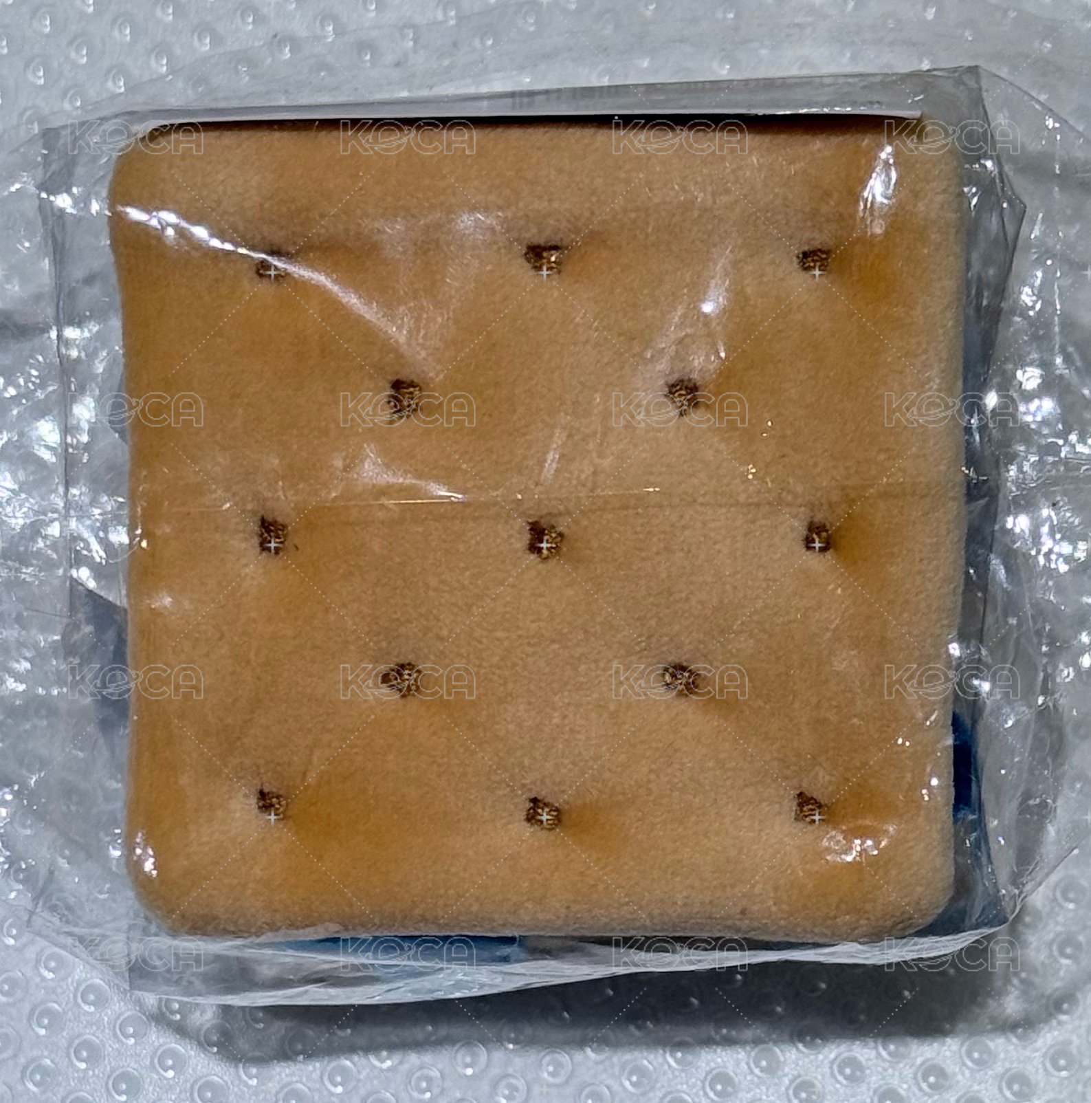 有原證袋（左）
