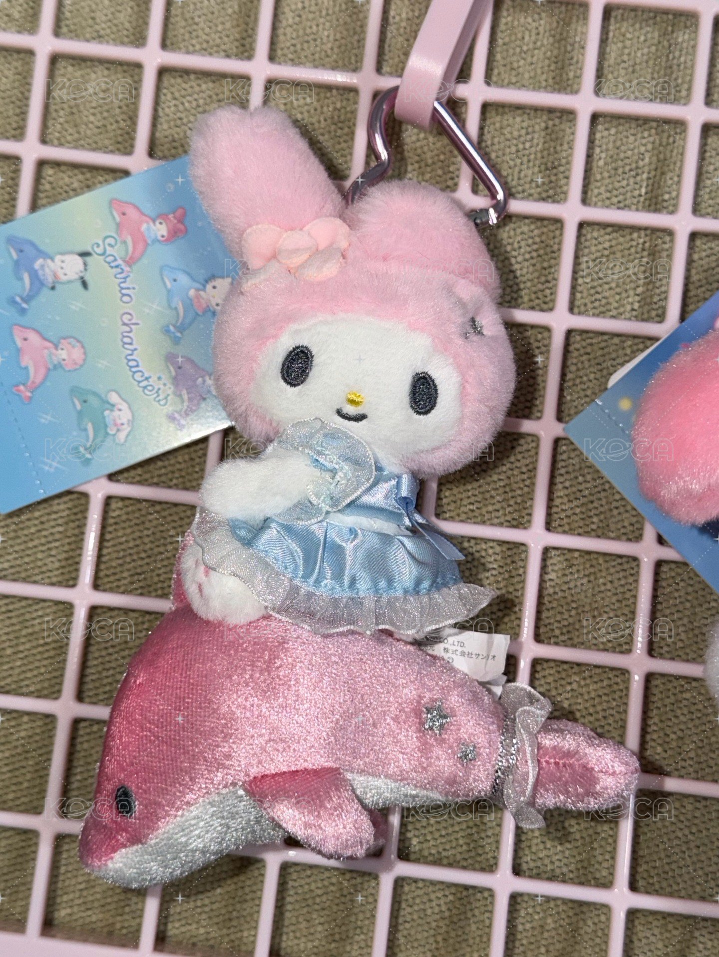 海豚美樂蒂