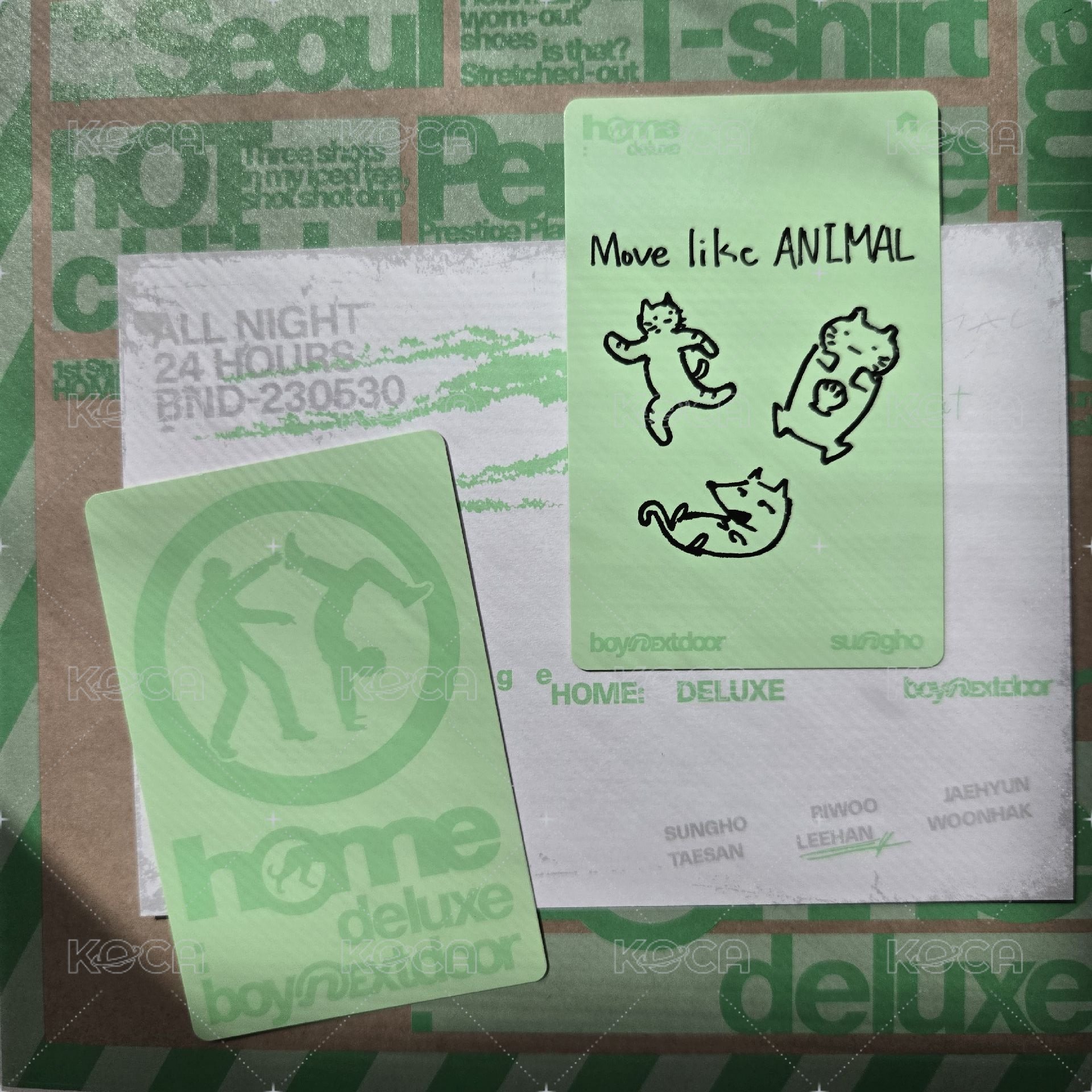 HOME後續專 HAZE🐶特典 快速寄出