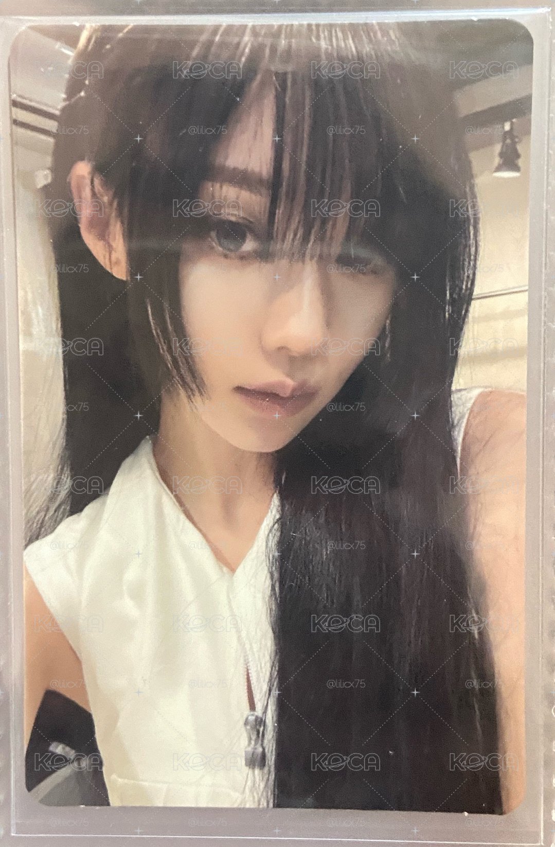 檸檬水呆瓜賴&WDA妹賴