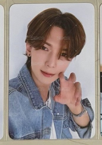 小狗爪尚
