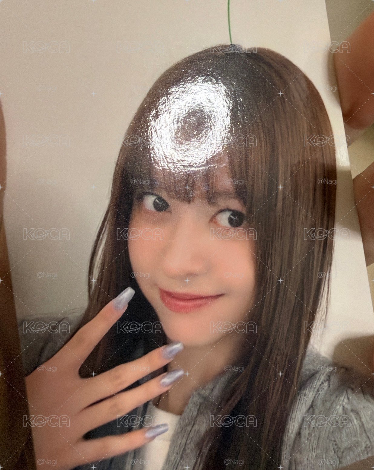 幼苗莉
