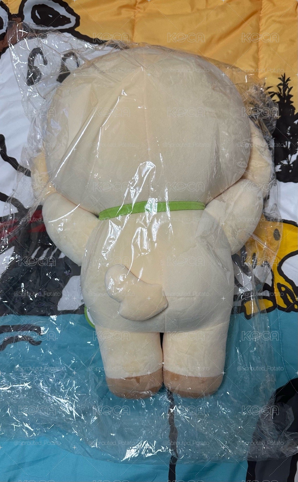 安 大娃